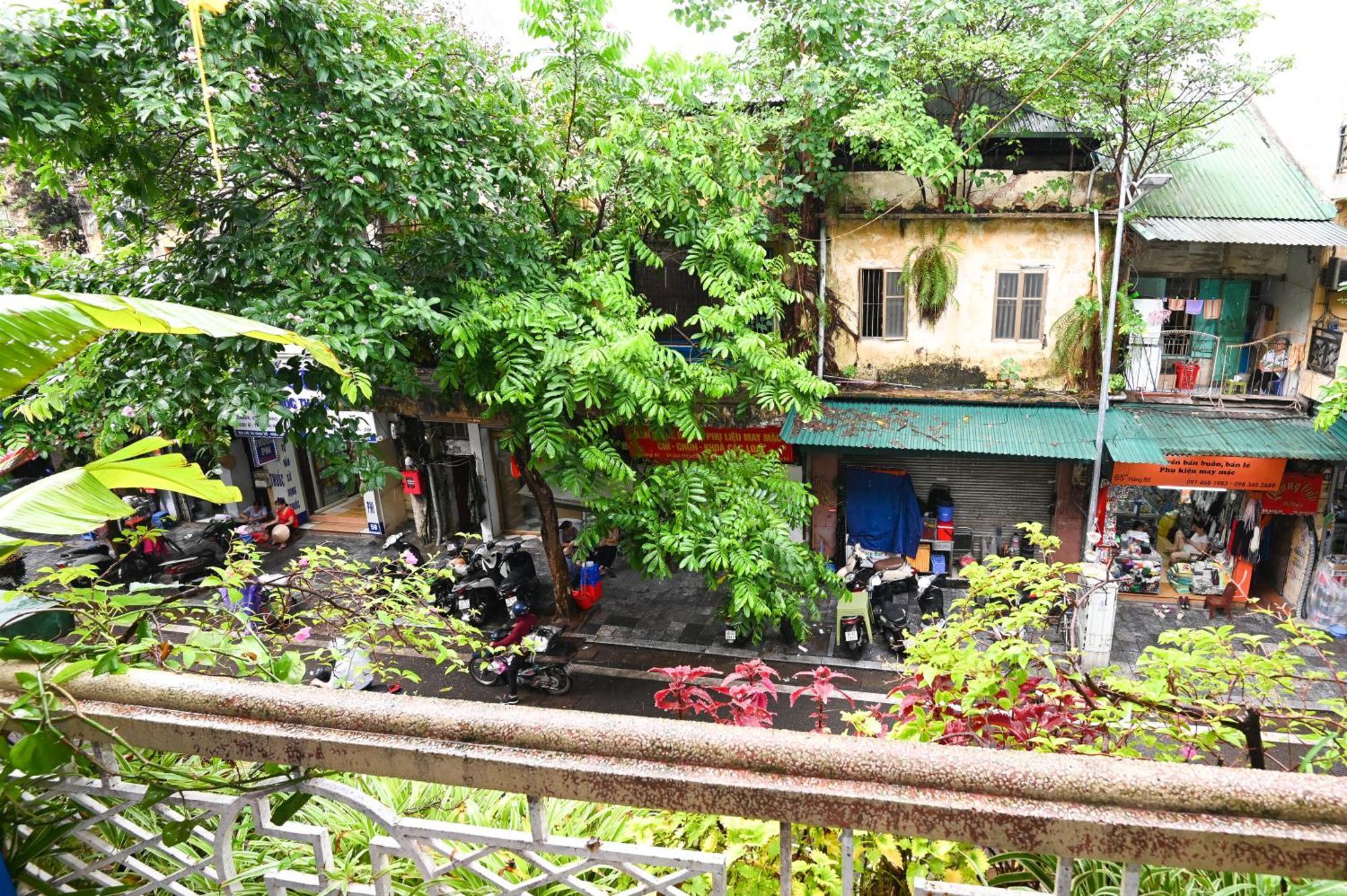 Sunny Hanoi Homestay Dış mekan fotoğraf